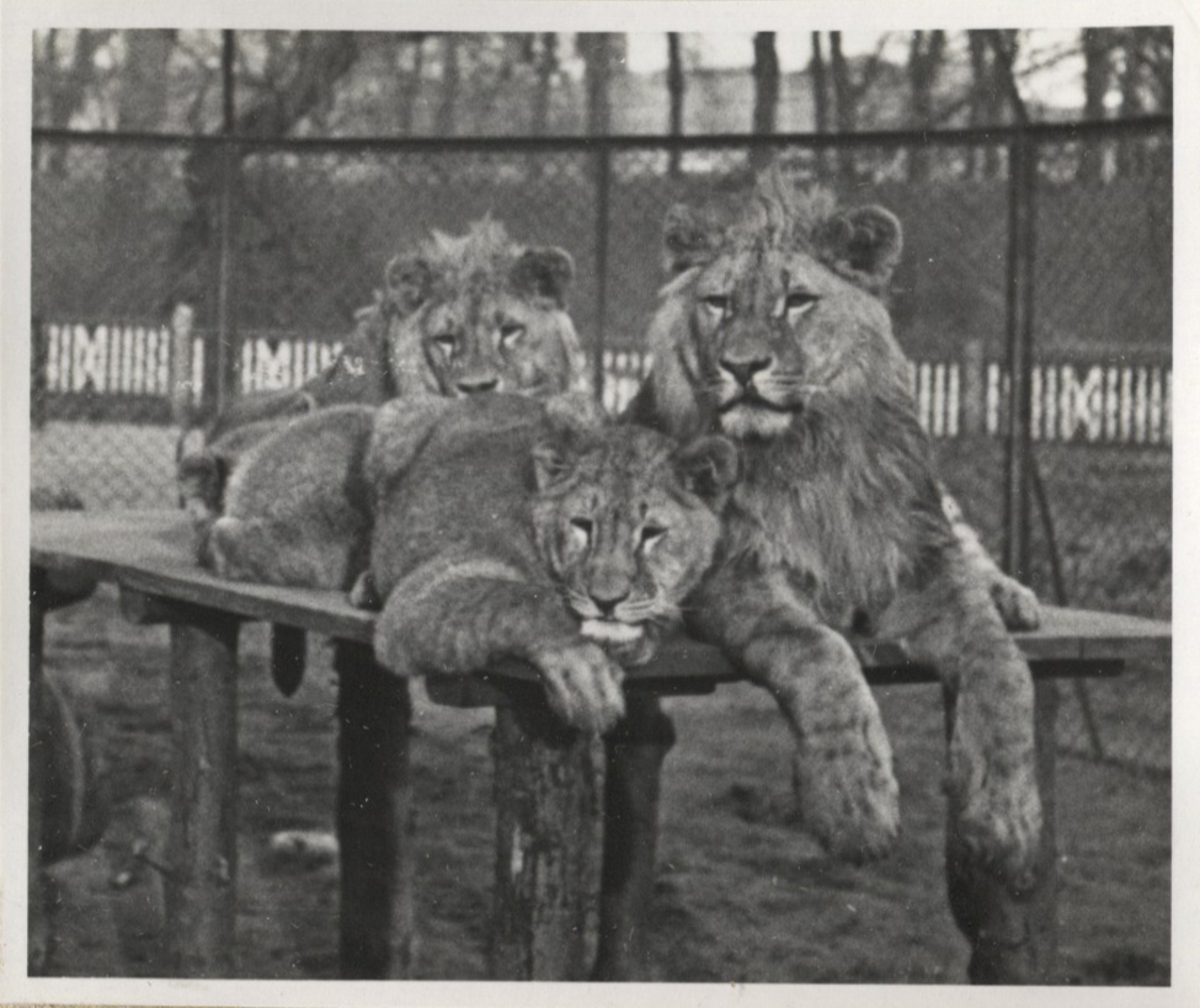 Fotograf: Hickstein, Carmen, Copyright: 1