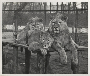 Fotograf: Hickstein, Carmen, Copyright: 1
