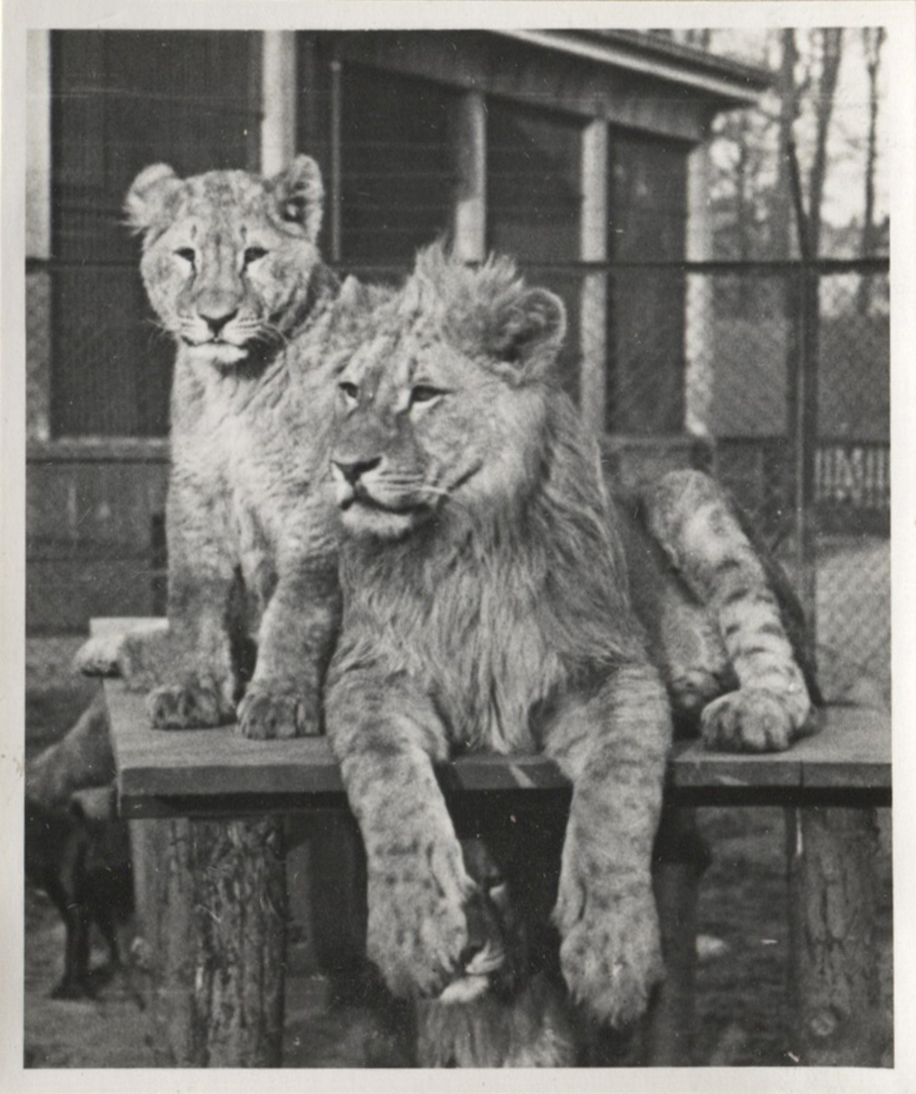 Fotograf: Hickstein, Carmen, Copyright: 1