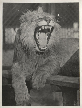 Fotograf: Hickstein, Carmen, Copyright: 1