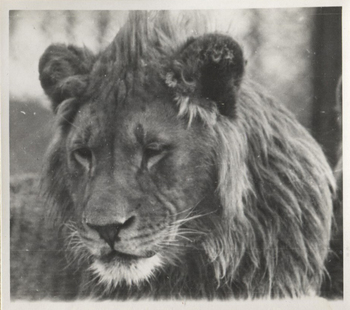 Fotograf: Hickstein, Carmen, Copyright: 1