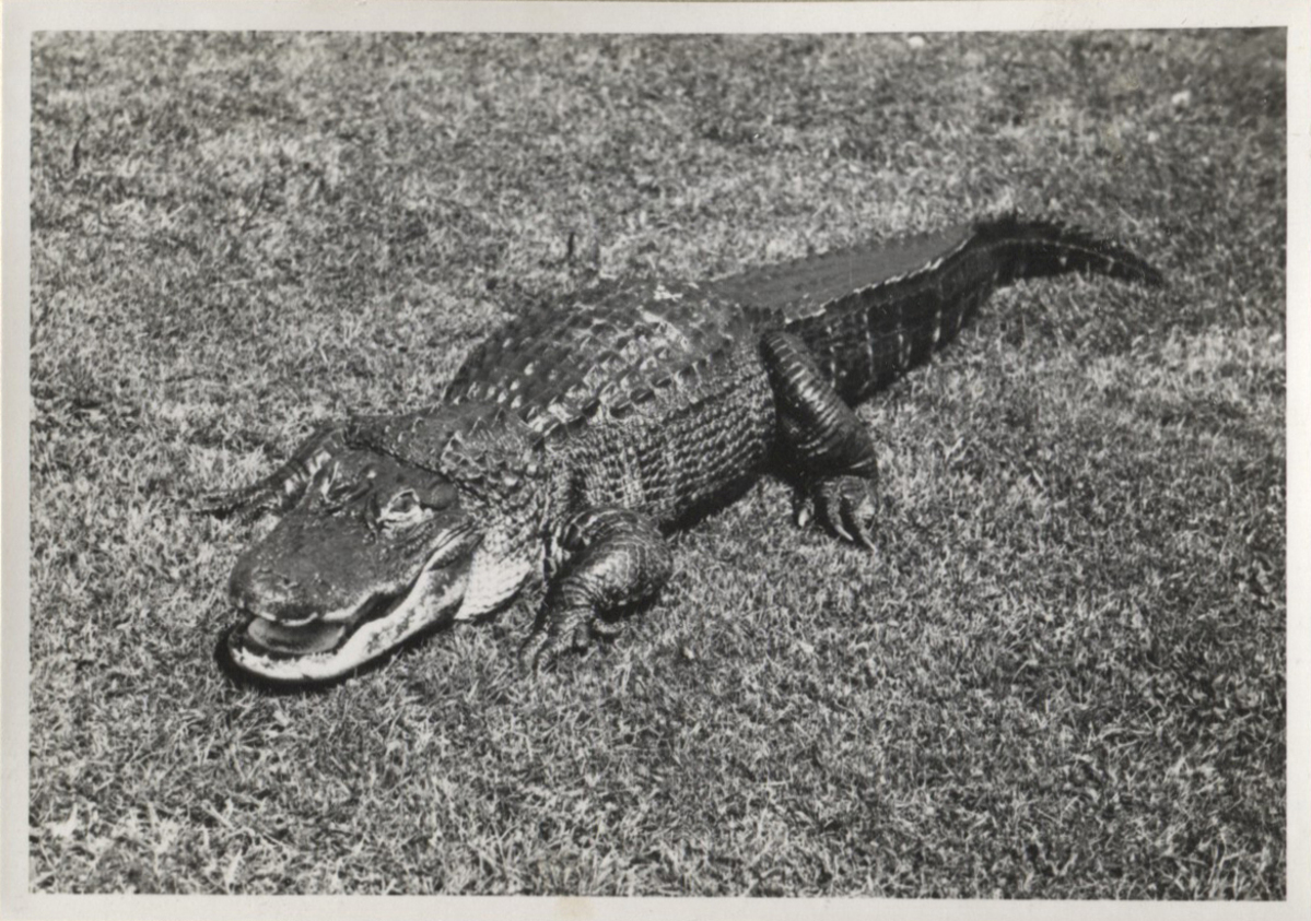 Fotograf: Hickstein, Carmen, Copyright: 1