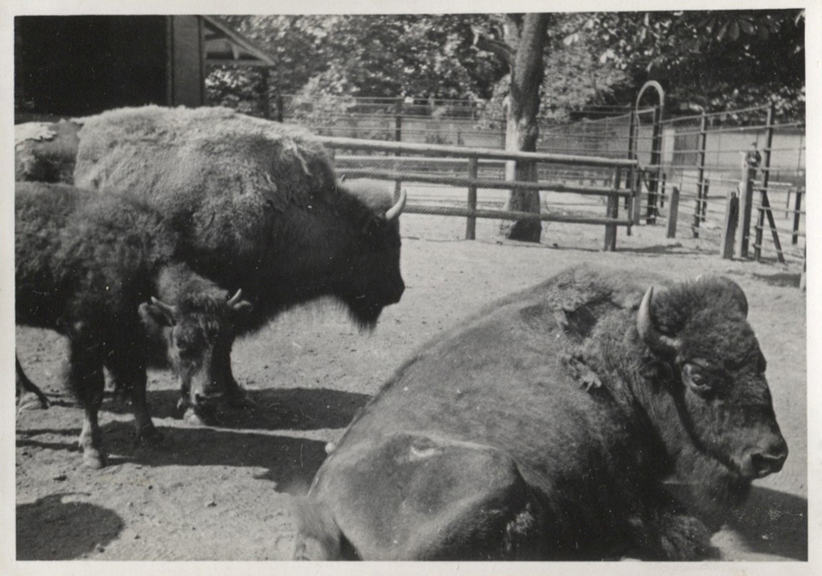 Fotograf: Hickstein, Carmen, Copyright: 1