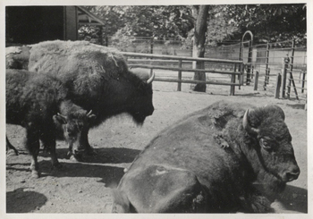 Fotograf: Hickstein, Carmen, Copyright: 1