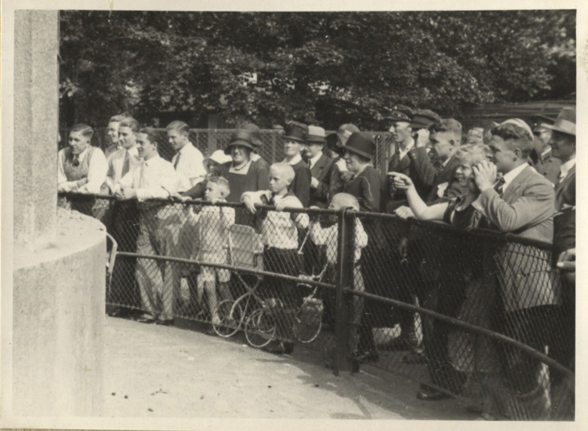 Fotograf: Hickstein, Carmen, Copyright: 1