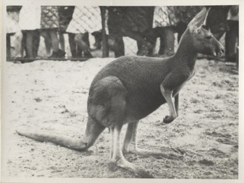 Fotograf: Hickstein, Carmen, Copyright: 1