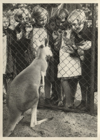 Fotograf: Hickstein, Carmen, Copyright: 1