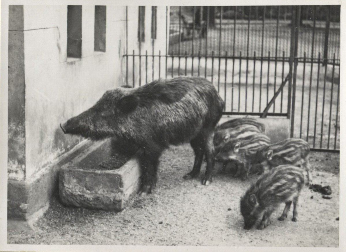 Fotograf: Hickstein, Carmen, Copyright: 1