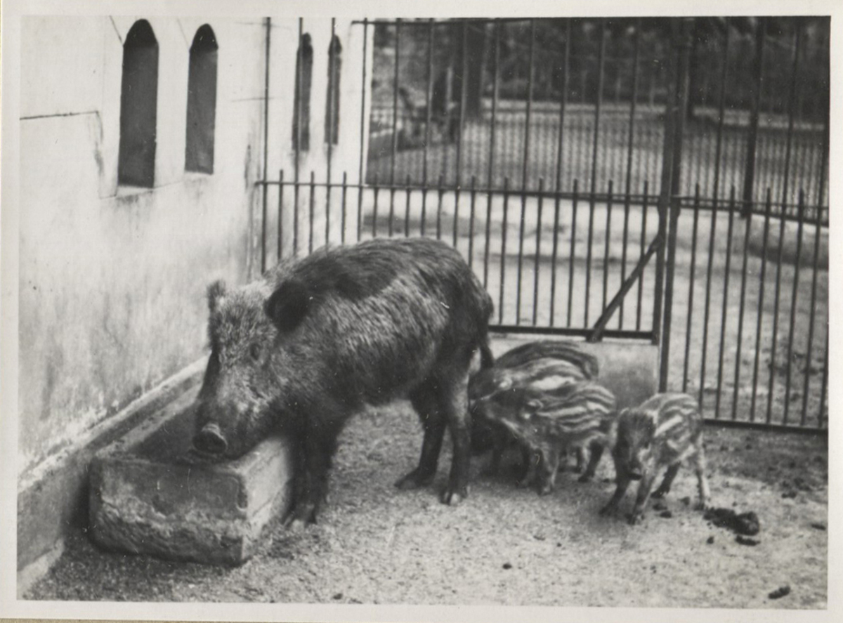 Fotograf: Hickstein, Carmen, Copyright: 1