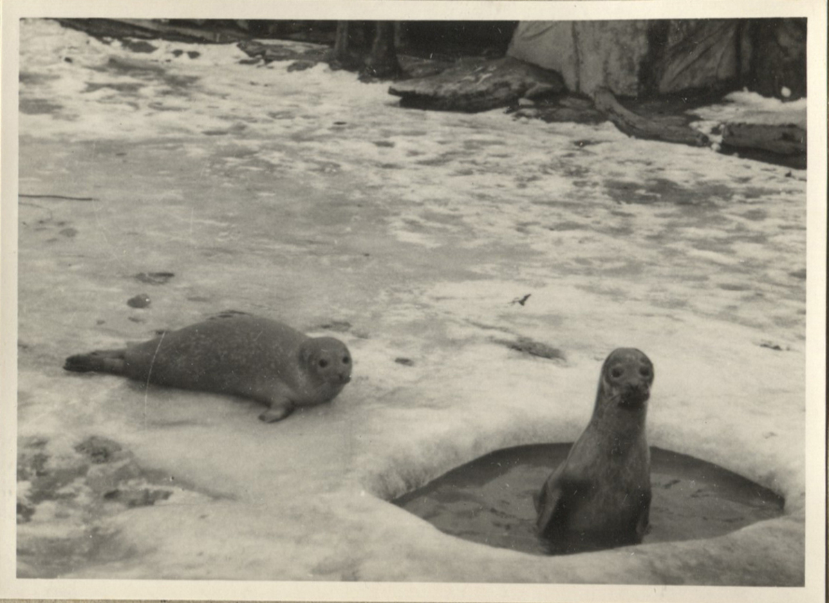 Fotograf: Hickstein, Carmen, Copyright: 1