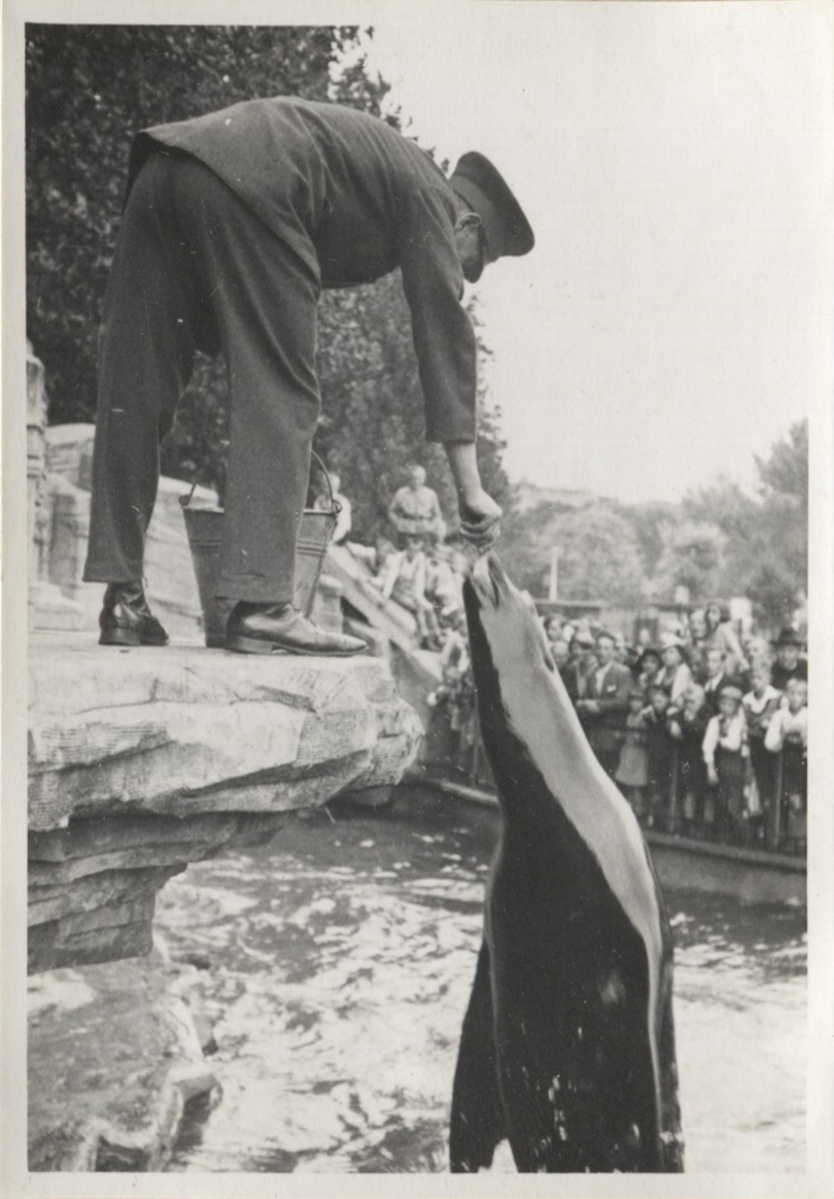 Fotograf: Hickstein, Carmen, Copyright: 1