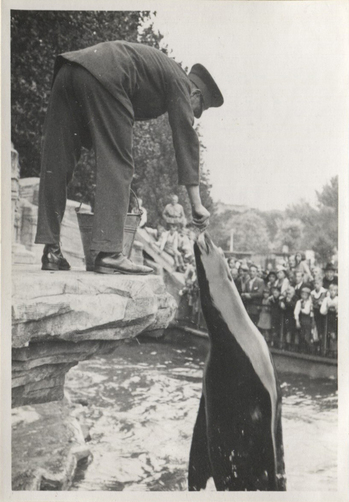 Fotograf: Hickstein, Carmen, Copyright: 1