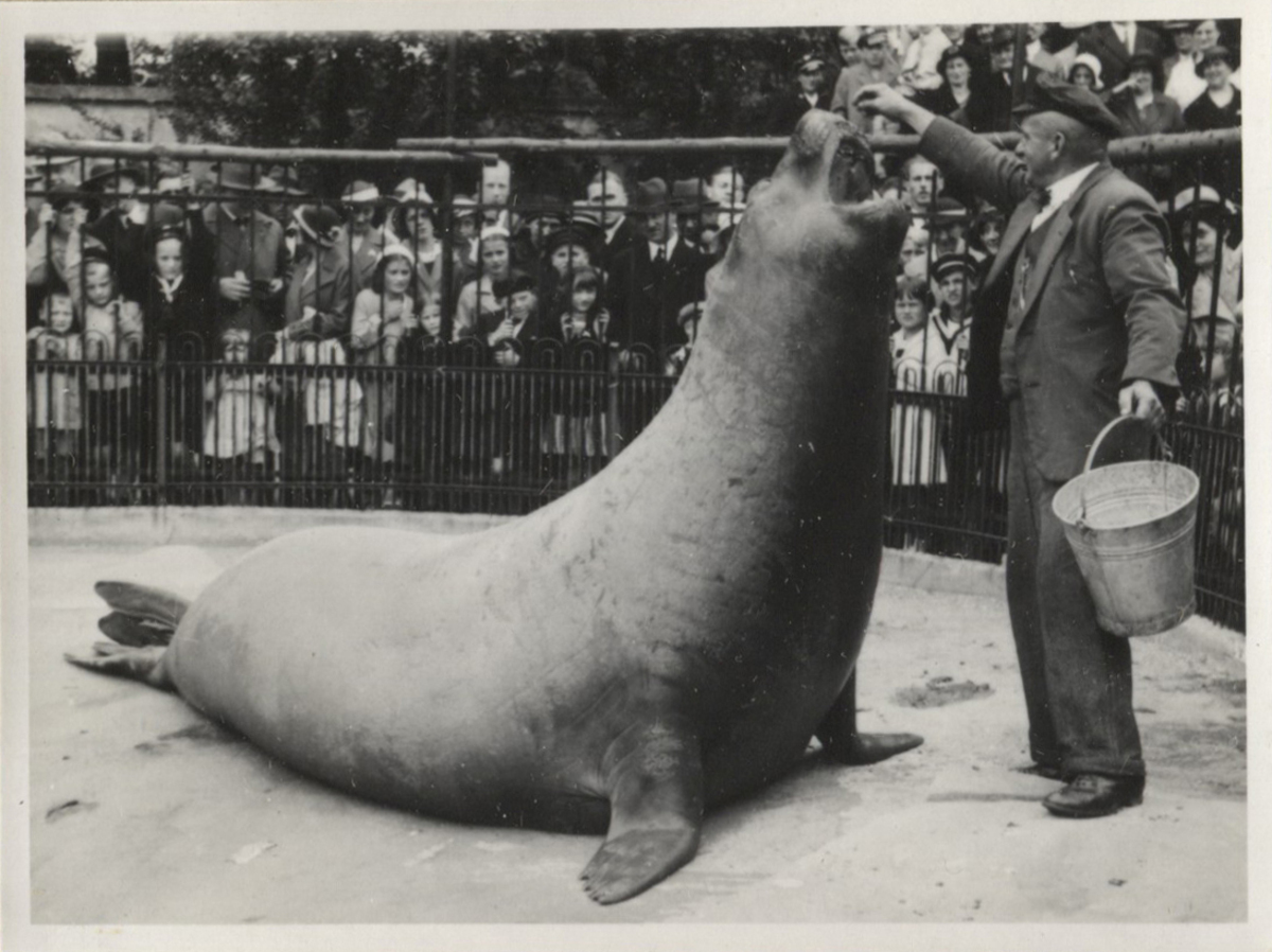 Fotograf: Hickstein, Carmen, Copyright: 1