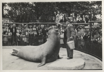 Fotograf: Hickstein, Carmen, Copyright: 1