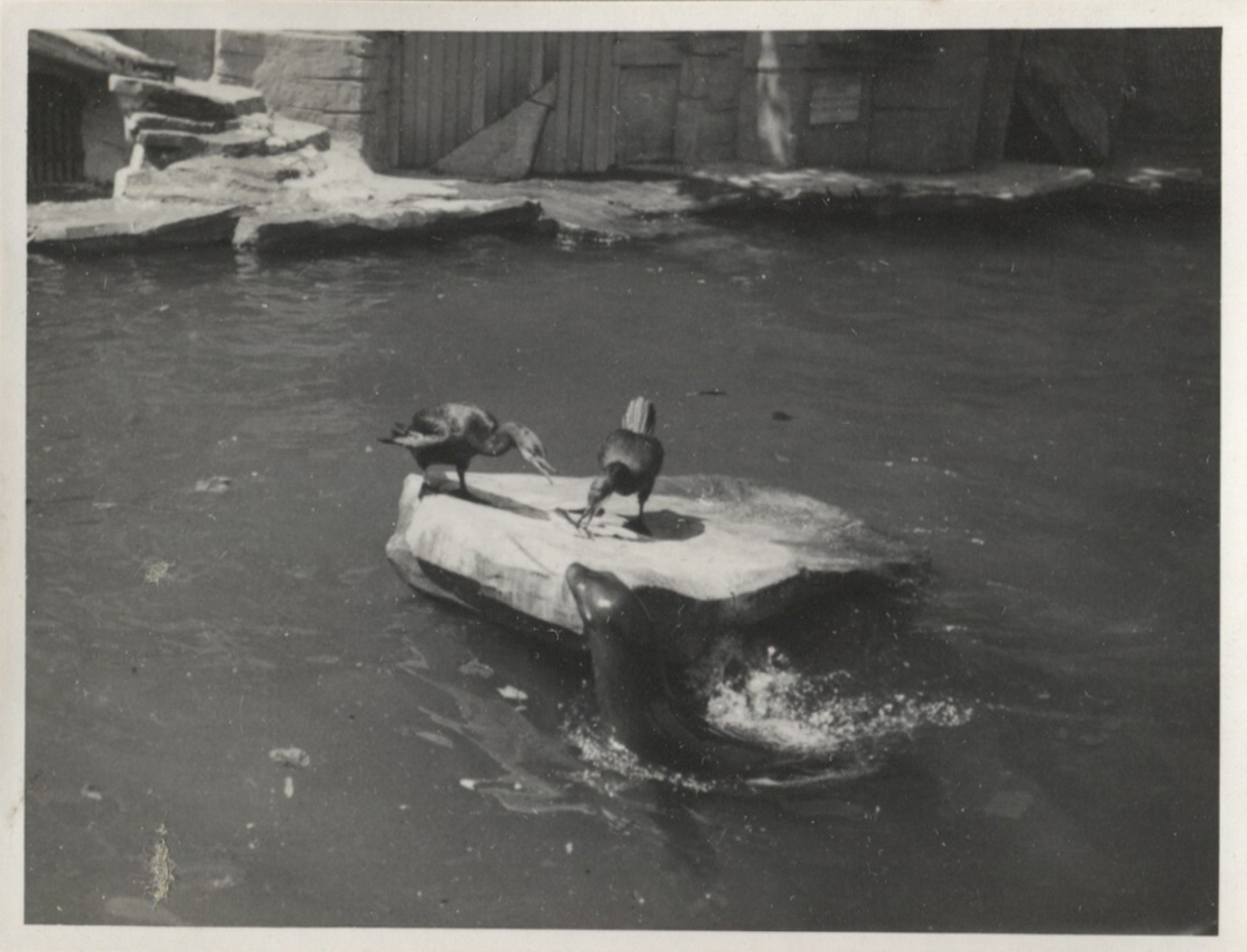 Fotograf: Hickstein, Carmen, Copyright: 1