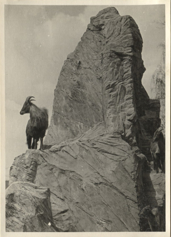 Fotograf: Hickstein, Carmen, Copyright: 1