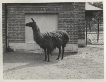 Fotograf: Hickstein, Carmen, Copyright: 1