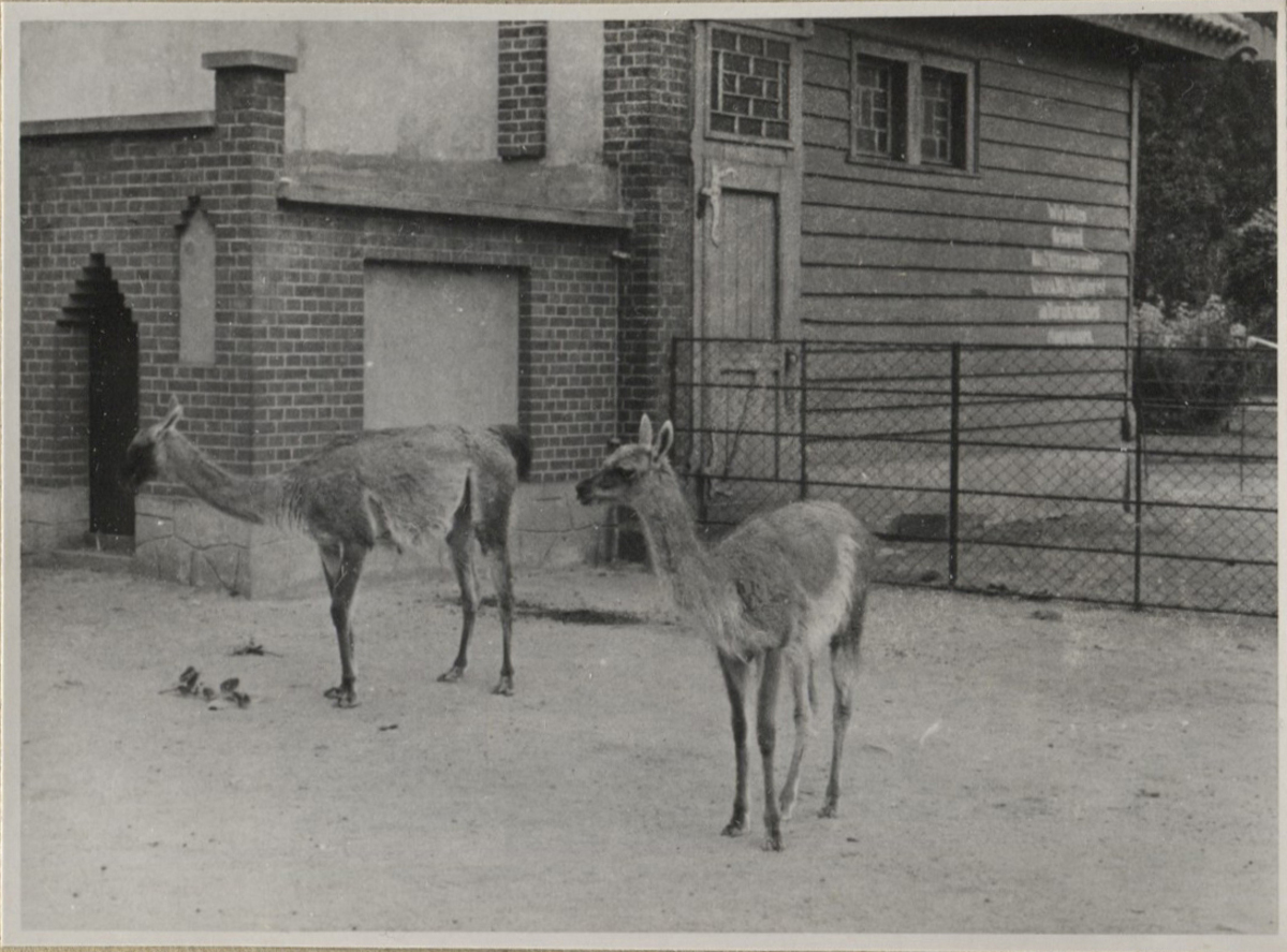 Fotograf: Hickstein, Carmen, Copyright: 1