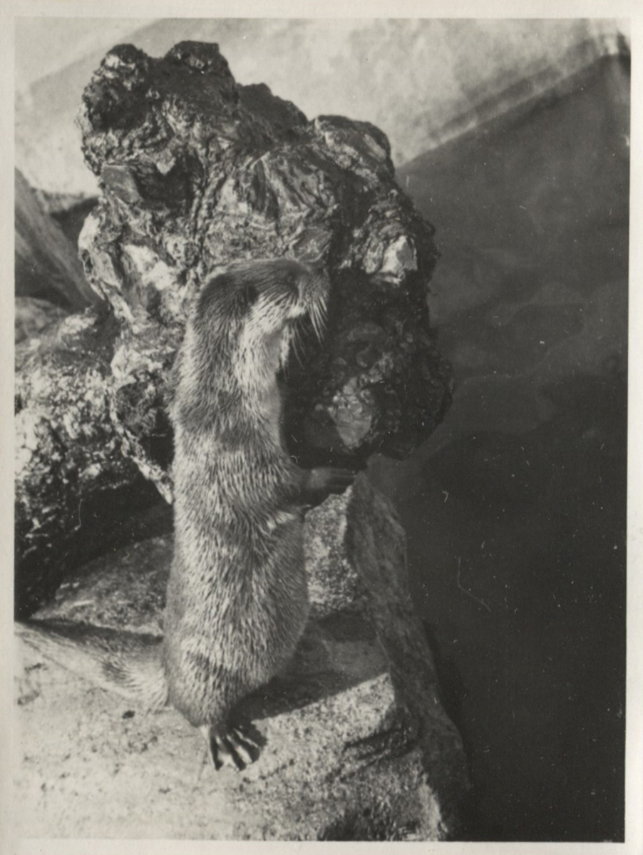 Fotograf: Hickstein, Carmen, Copyright: 1