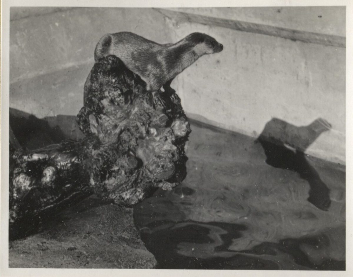 Fotograf: Hickstein, Carmen, Copyright: 1