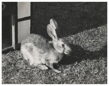 Fotograf: Hickstein, Carmen, Copyright: 1