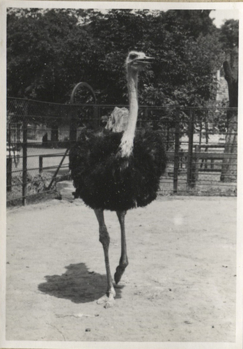 Fotograf: Hickstein, Carmen, Copyright: 1