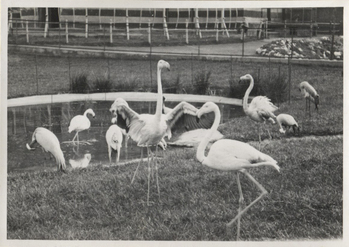 Fotograf: Hickstein, Carmen, Copyright: 1