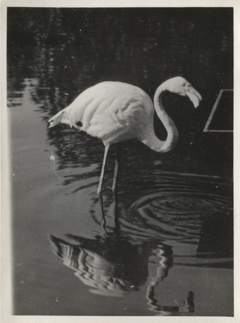 Fotograf: Hickstein, Carmen, Copyright: 1