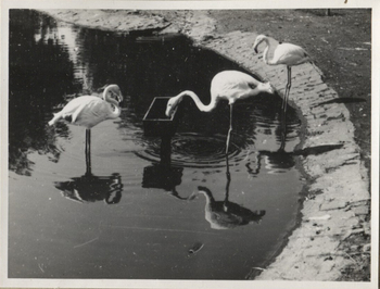 Fotograf: Hickstein, Carmen, Copyright: 1