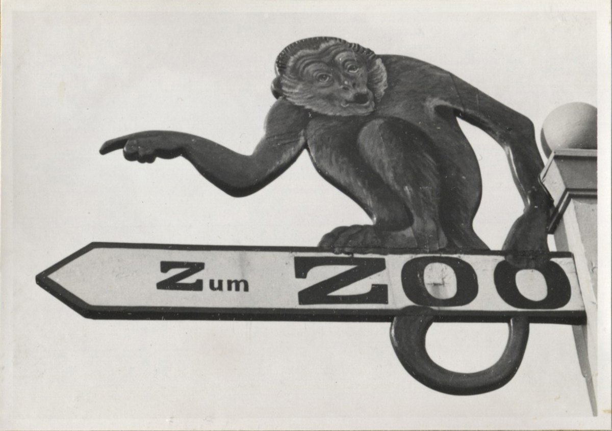 Fotograf: Hickstein, Carmen, Copyright: 1