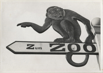 Fotograf: Hickstein, Carmen, Copyright: 1