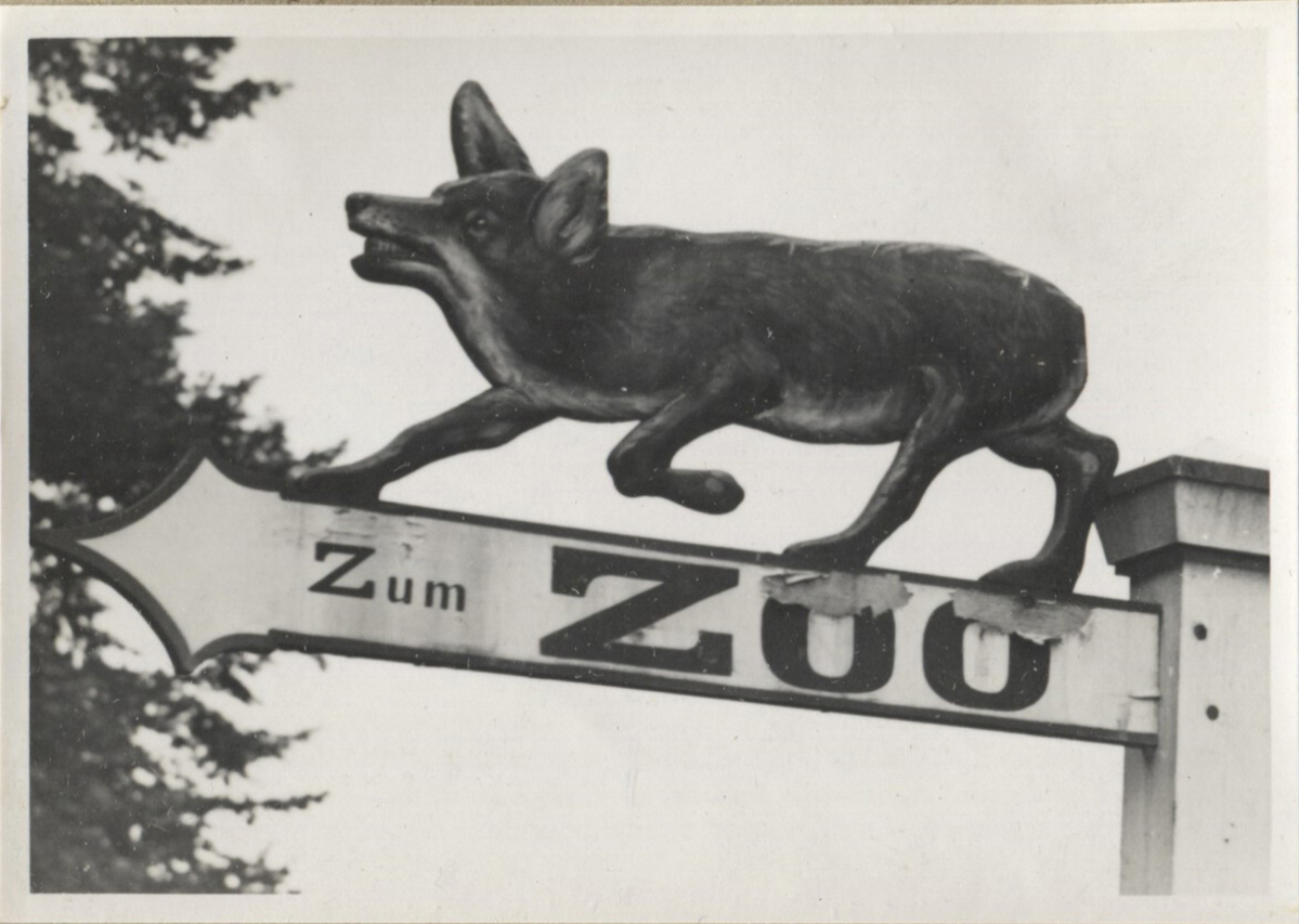 Fotograf: Hickstein, Carmen, Copyright: 1