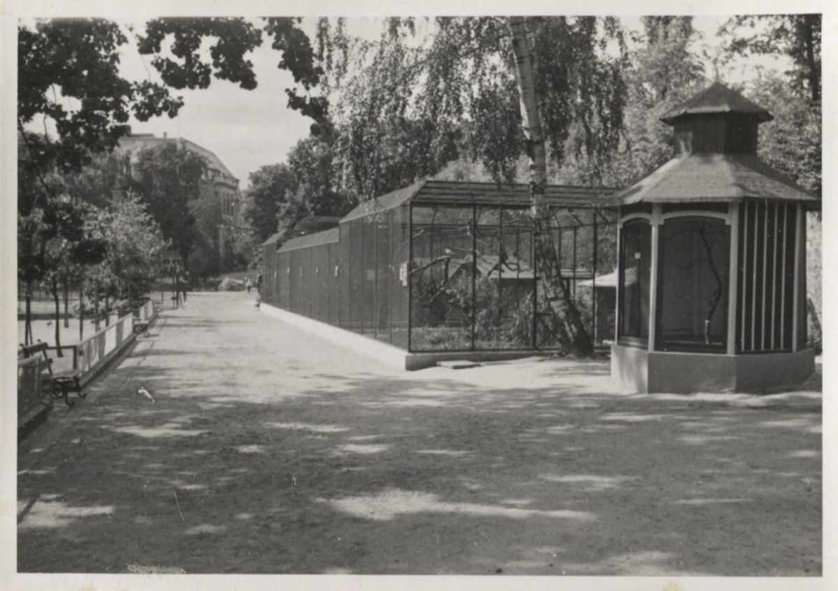 Fotograf: Hickstein, Carmen, Copyright: 1