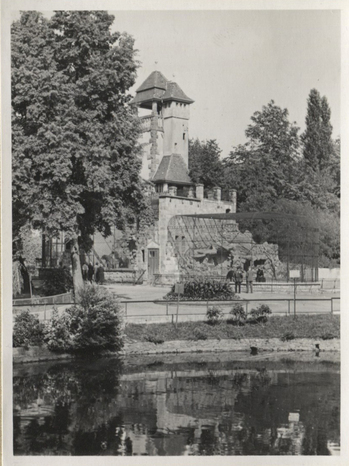 Fotograf: Hickstein, Carmen, Copyright: 1