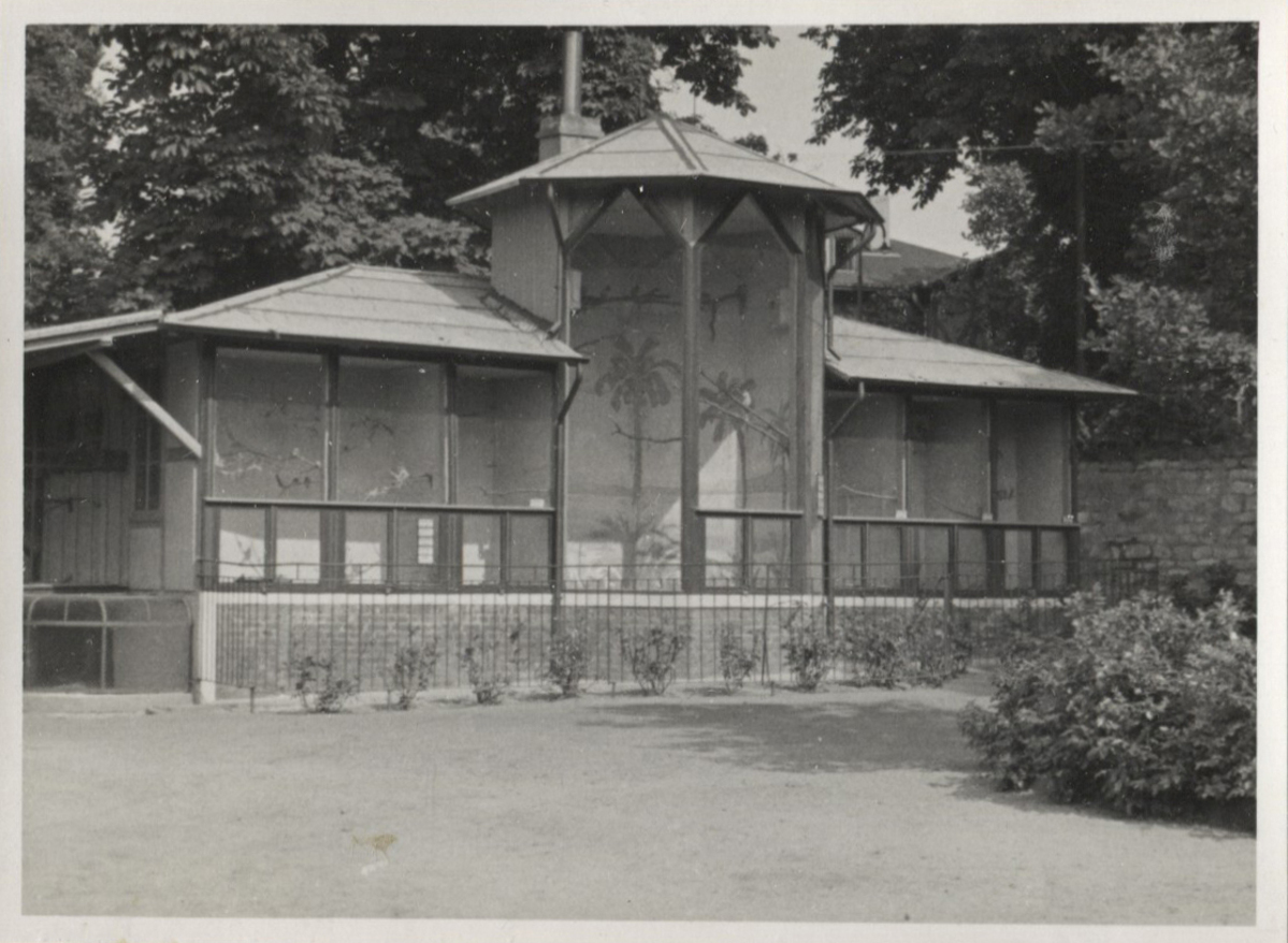 Fotograf: Hickstein, Carmen, Copyright: 1