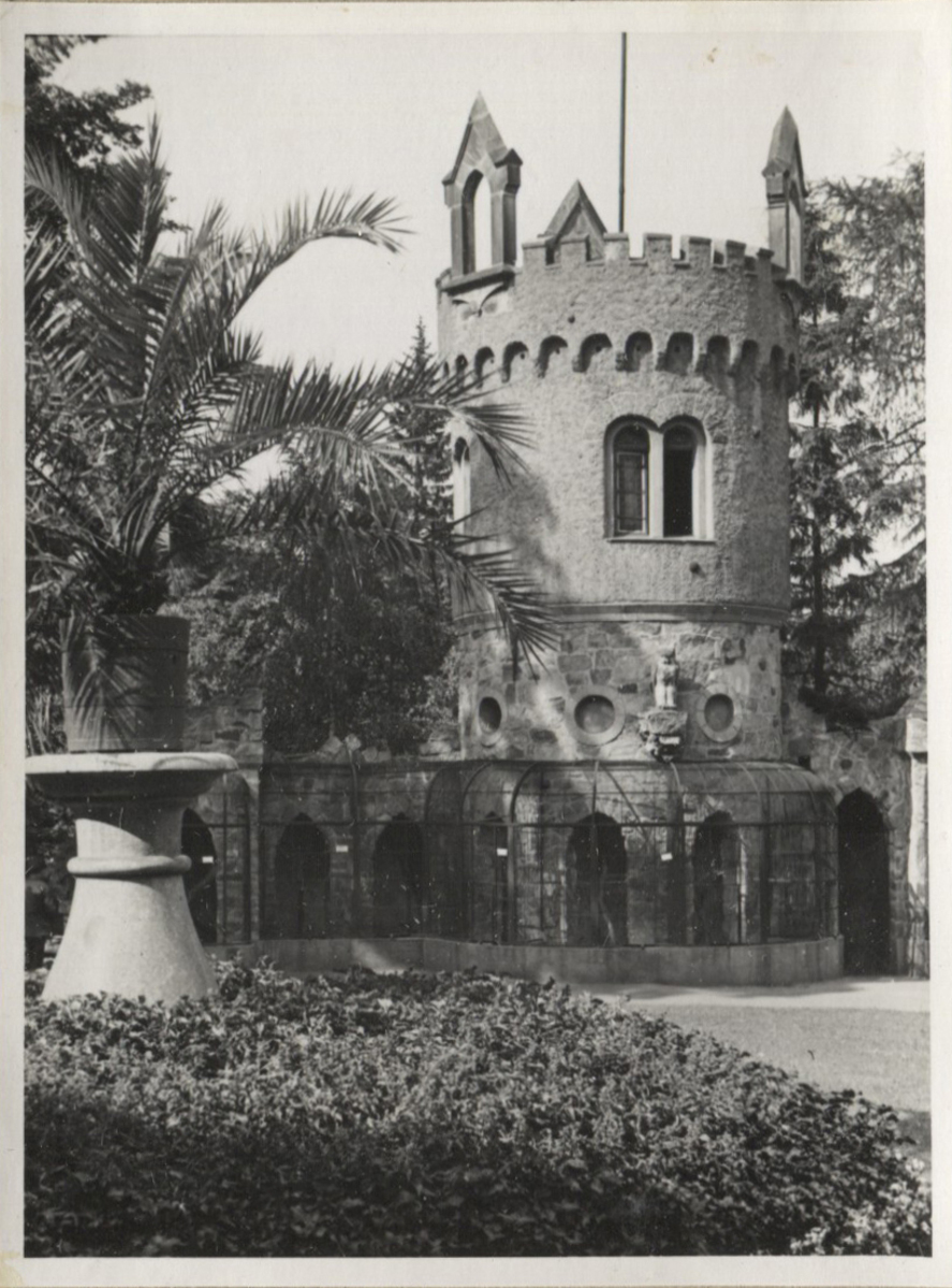 Fotograf: Hickstein, Carmen, Copyright: 1