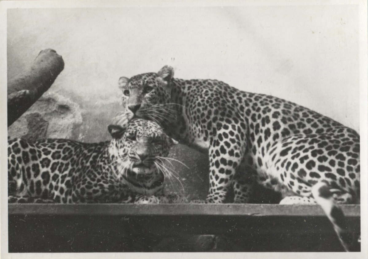 Fotograf: Hickstein, Carmen, Copyright: 1