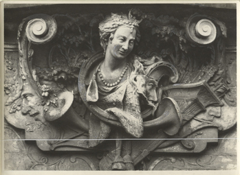 Fotograf: Hickstein, Carmen, Copyright: 1