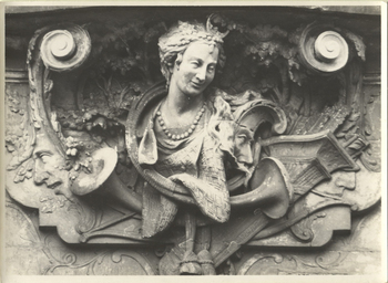 Fotograf: Hickstein, Carmen, Copyright: 1