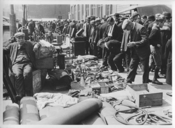 Fotograf: Hickstein, Carmen, Copyright: 1