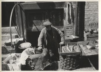 Fotograf: Hickstein, Carmen, Copyright: 1