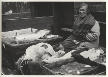 Fotograf: Hickstein, Carmen, Copyright: 1