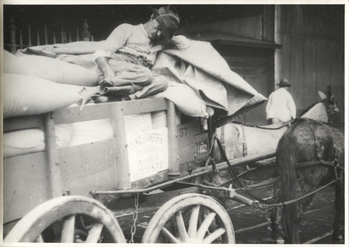 Fotograf: Hickstein, Carmen, Copyright: 1