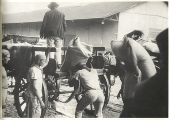 Fotograf: Hickstein, Carmen, Copyright: 1