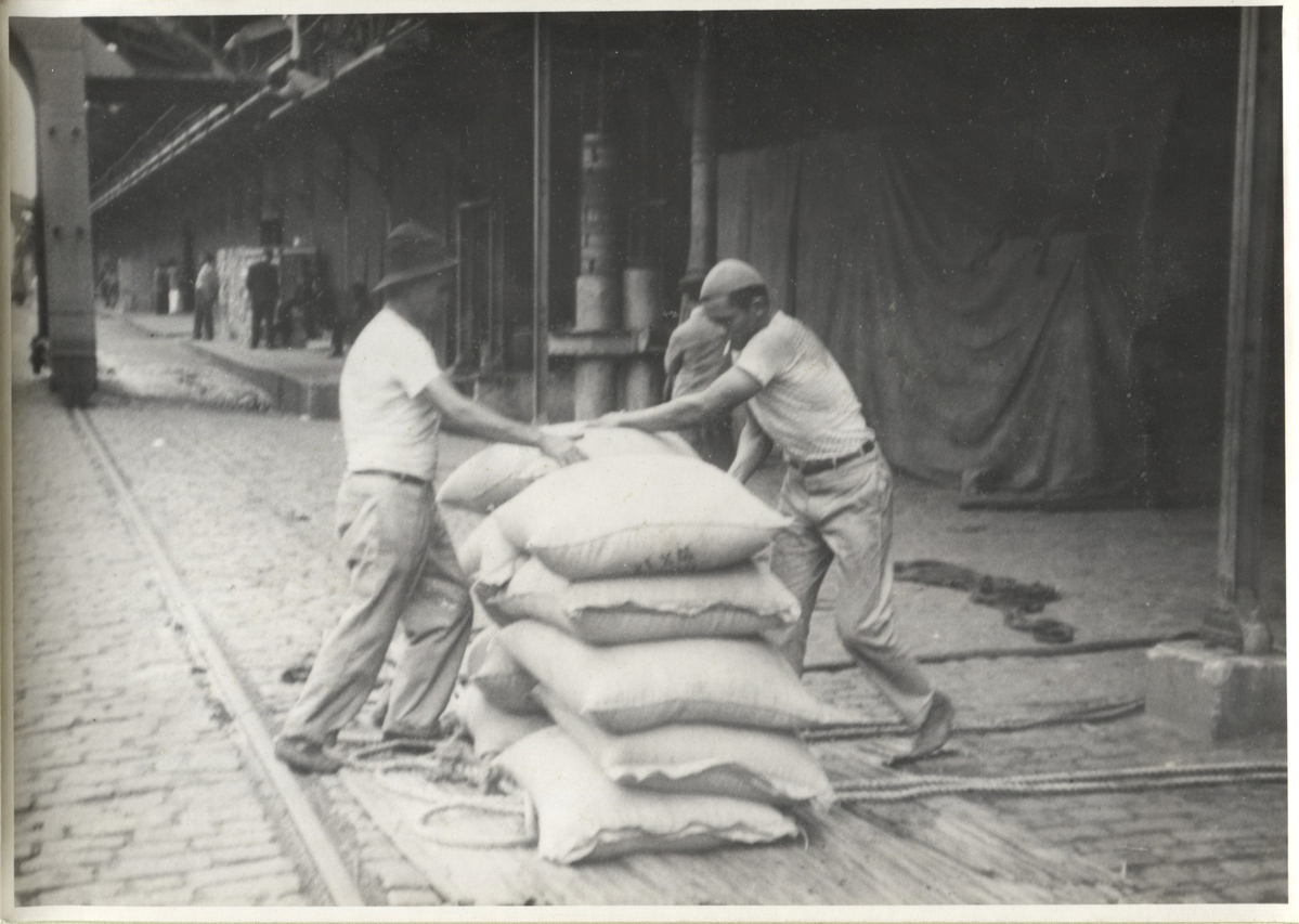 Fotograf: Hickstein, Carmen, Copyright: 1