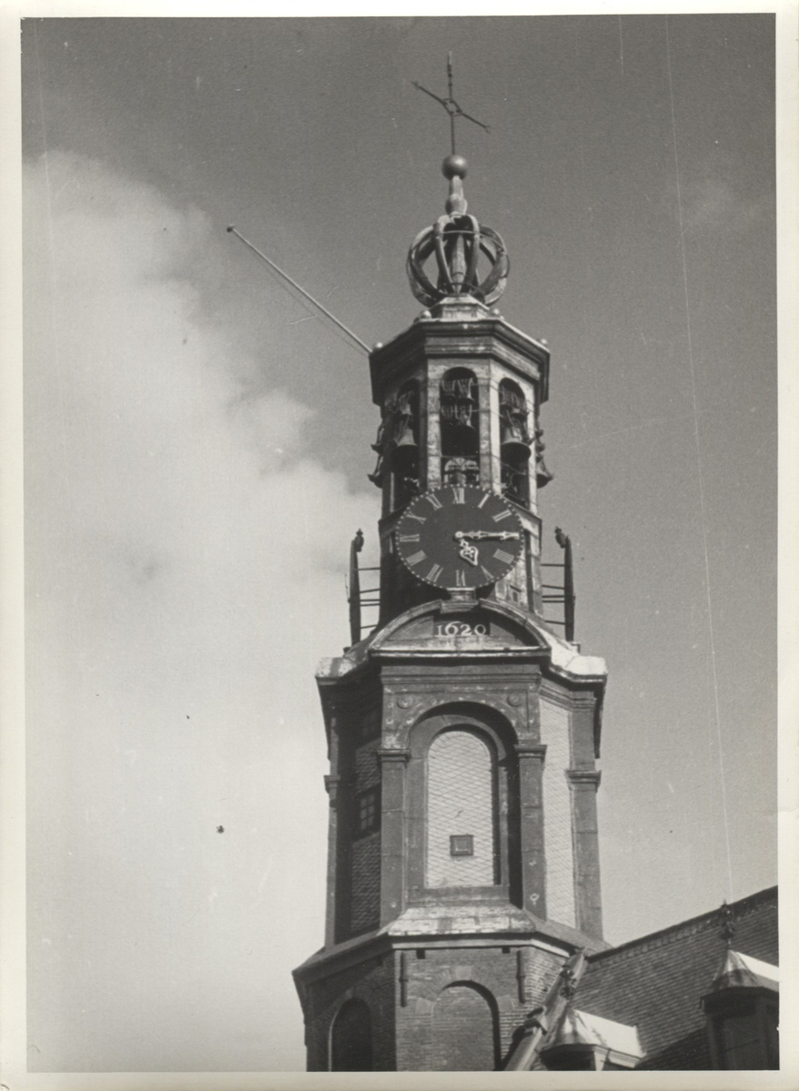 Fotograf: Hickstein, Carmen, Copyright: 1