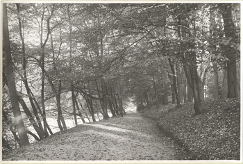 Fotograf: Hickstein, Carmen, Copyright: 1