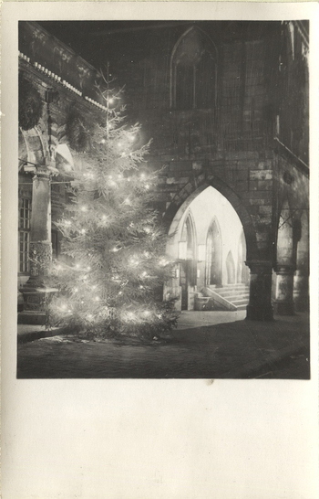 Fotograf: Hickstein, Carmen, Copyright: 1