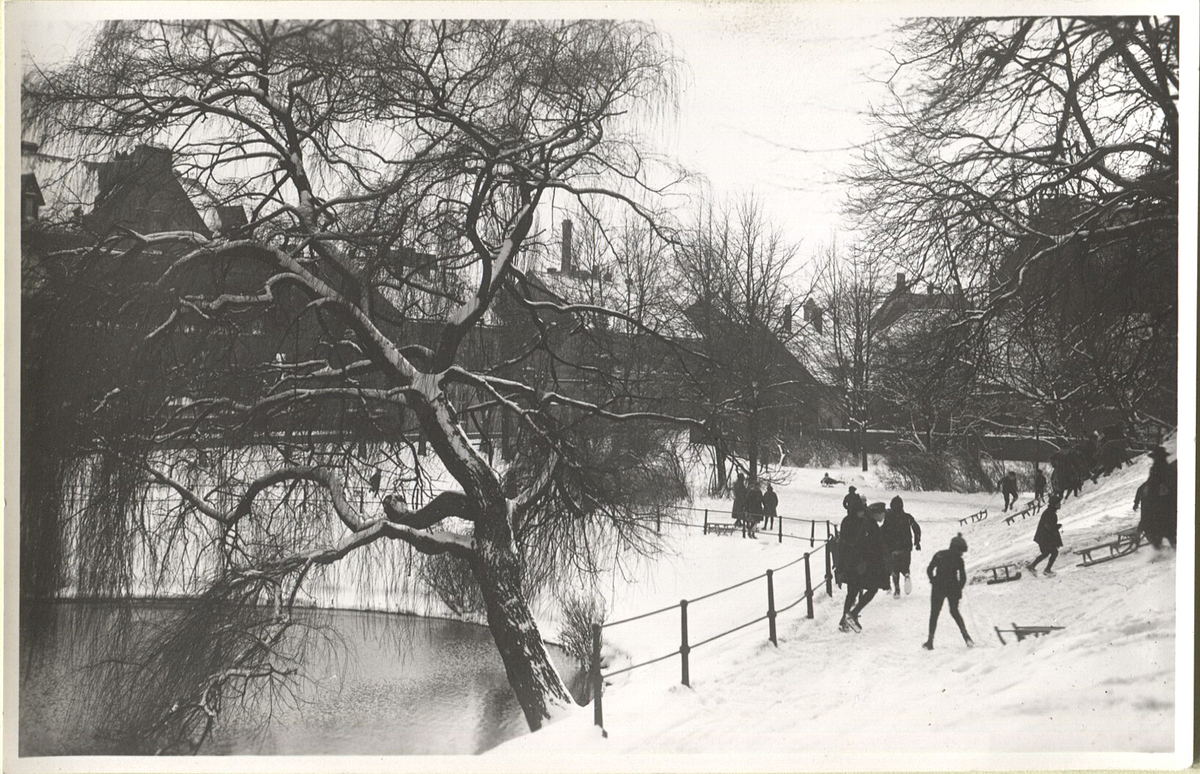 Fotograf: Hickstein, Carmen, Copyright: 1