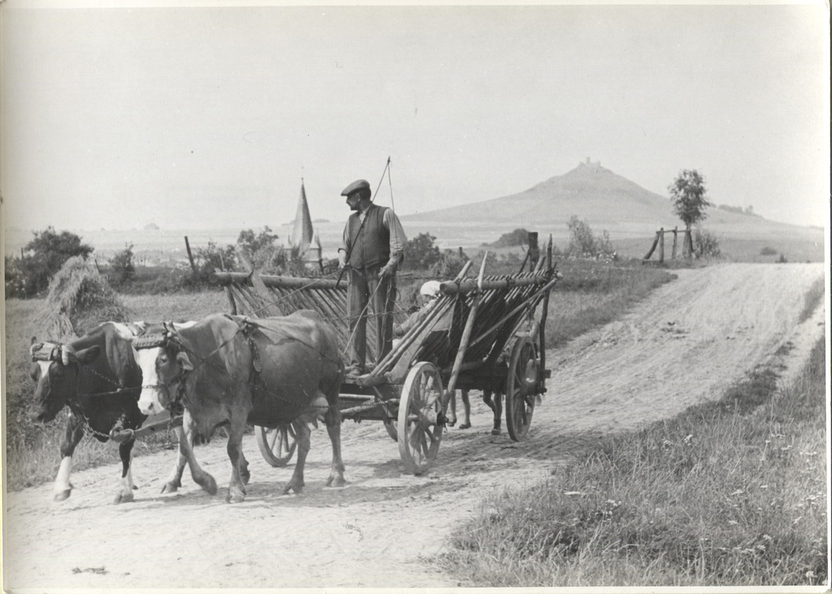 Fotograf: Hickstein, Carmen, Copyright: 1